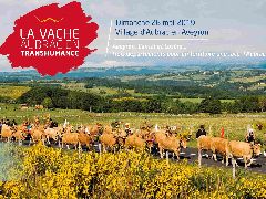 Camping La Romiguiere : 2019 05 26 La Transhumance en Aubrac